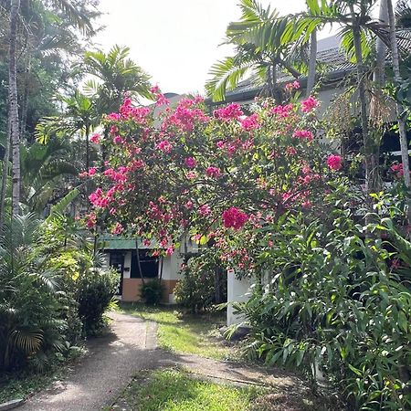 Villa Studio With Balcony Near Beach & Nightlife Patong Exterior photo