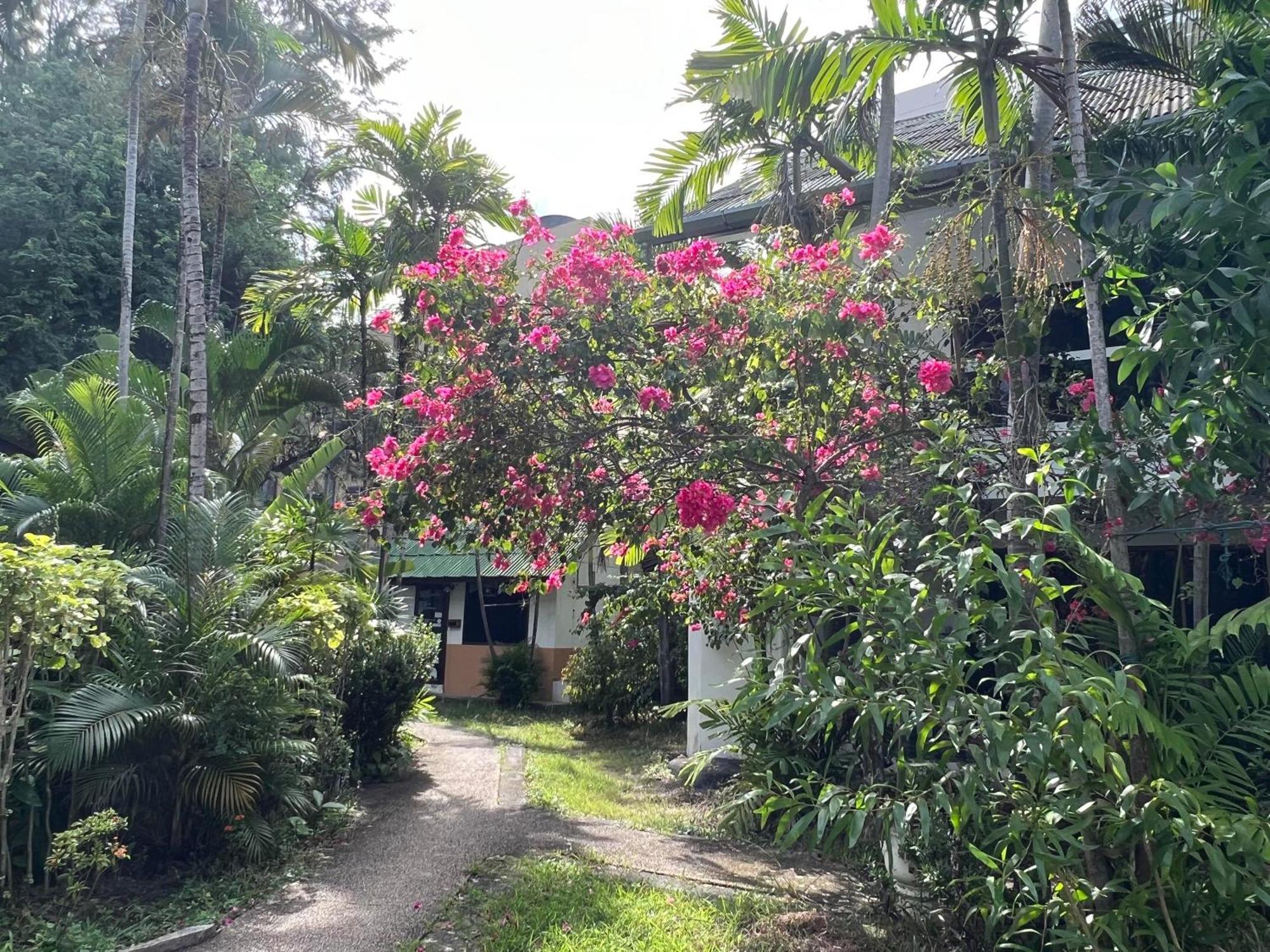 Villa Studio With Balcony Near Beach & Nightlife Patong Exterior photo